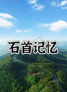 石首记忆第137期 石首籍开国将军王尚荣 保卫延安转战陕北