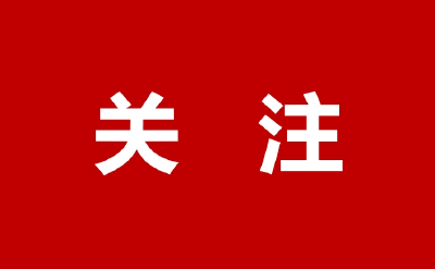 黄冈代表在全国两会上发出“老区强音”——一份极具发展高度和民生温度的“时代答卷”