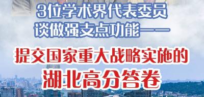 如何做强支点功能，提交湖北高分答卷？3位代表委员说→