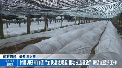 付勇调研南口镇“加快县域崛起 建功支点建设”暨镇域经济工作