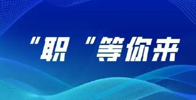 石首市2025年春风行动专场招聘会（七）