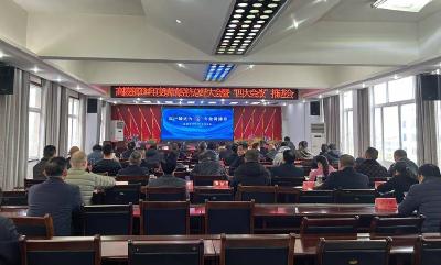 石首市高陵镇：总结2024年度镇域经济发展成就 全力推进“四大会战”